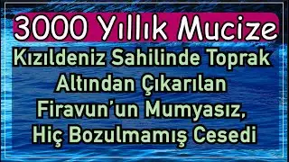3000 Yıllık Mucize | Kızıldeniz'de Firavun’un Mumyasız, Hiç Bozulmamış Cesedi