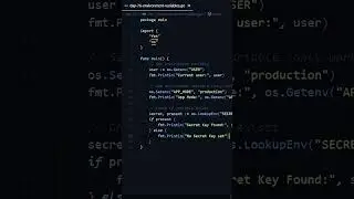 Environment Variables in GoLang 😎 | Day 76 of 90 Days Challenge 💻