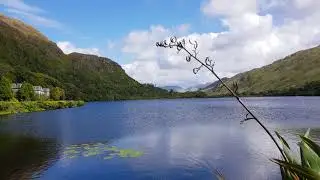 Killarney abbey
