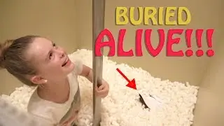 INSANE FIRE POLE SLIDE into Packing Peanuts