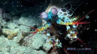 Saving the Sea 1: