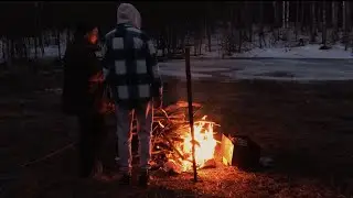 Однажды в лесу