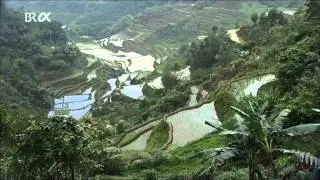 Journey to the Philippines.avi