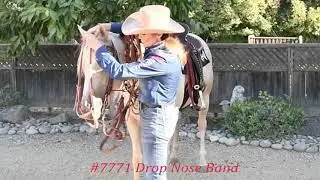 7771 Sharon Camarillo Drop Noseband