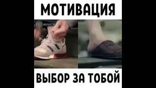 Выбор за вами