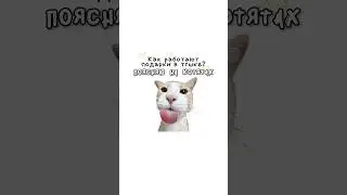 Как работают подарки в тгшке?