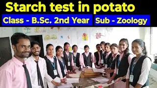 Starch test in potato @Happybiologyclass