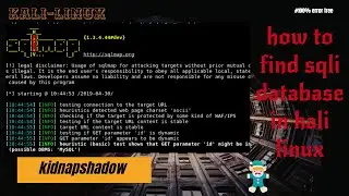 How to use Sqlmap : like a Pro ! ✌✨ | Get Database Info| kidnapshadow | Kali Linux 2023.2 ✨✨