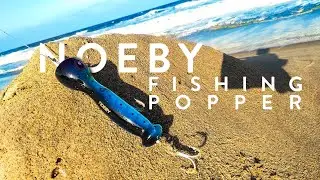 Best fishing popper  