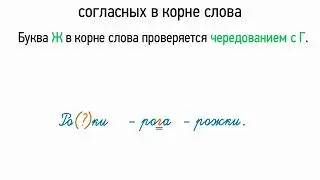 Правописание звонких и глухих согласных в корне слова (5 класс, видеоурок-презентация)