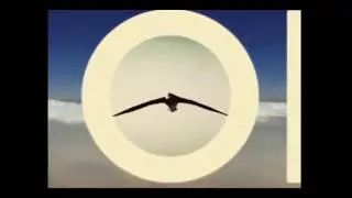 Taped Over Memory - Joy of Flying