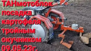 посадка картофеля под тройной  окучник и мотор сич! 09.05.23г.