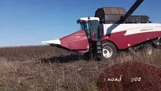 Уборка подсолнечника 2023.