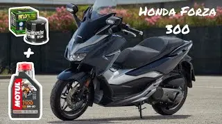 Honda Forza ABS 300/350 Oil & Filter Change