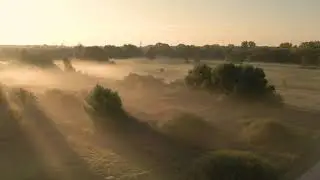 Meadows in sun rise. Low fog and flying geese. October morning.