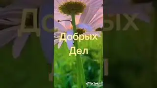 Картинки с поздравлением!!!