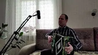 Красные карманы (М.Круг) На гармошке Гармонист Николай Анатольевич