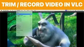 How to Trim or Record Video in VLC on Mac (Tutorial)