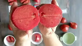 Дегустация 2024   № 16
