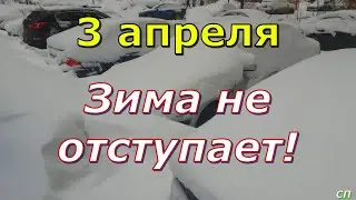 3 апреля . Зима не отступает ! Подмосковье в снегу .