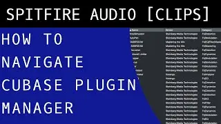 How To Navigate Cubase Plugin Manager