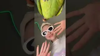 Мой попугайчик Листюша 💗🦜