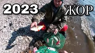 На рыбалку за судаком | Осенняя рыбалка Удалась! | Фильм 2023