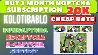 Kolotibablo Buy Noptcha 20k Daily For 3 month | funcaptcha Auto Script | Kolotibablo task not coming