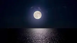 🔴 Deep Sleep Music 24/7, Calming Music, Insomnia, Sleep, Relaxing Music, Study, Sleep Meditation