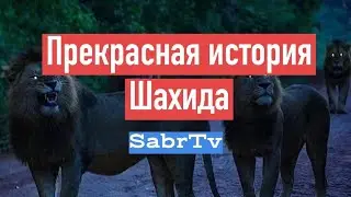 ПРЕКРАСНАЯ ИСТОРИЯ ШАХИДА