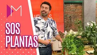 Dicas para cuidar de PLANTAS em CASA - Mulheres (27/07/2020)