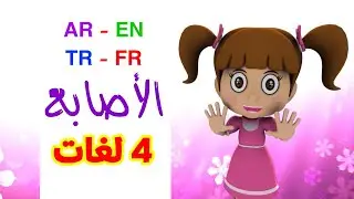 الأصابع باللغات الأربع ( العربية - الإنجليزية - التركية - الفرنسية ) | طيور بيبي Toyor Baby