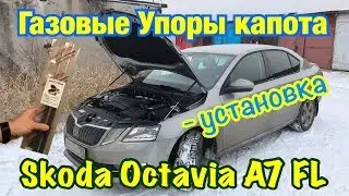 Газовые Упоры капота. Skoda Octavia A7. Установка