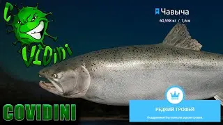 ТРОФЕЙНАЯ ЧАВЫЧА | TROPHY CHINOOK #РР4 #RF4
