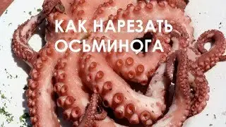 КАК РАЗДЕЛАТЬ ОСЬМИНОГА ! МАСТЕР-КЛАСС ОТ ШЕФ-ПОВАРА