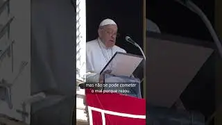 As igrejas não se tocam! #angelus #papafrancisco #shorts