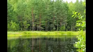 №23 Гармонизация потоков энергий выходящих из головы (волос)