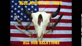 Vietnam Veteran Blues - Blue Mountain Tribe