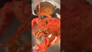 Лобстер 