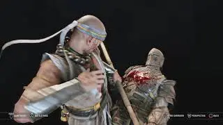 Shaolin: Flurry Of Blows