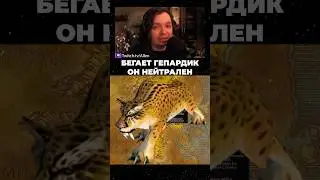 World of Warcraft Гайд Охотник Руна Повелитель зверей