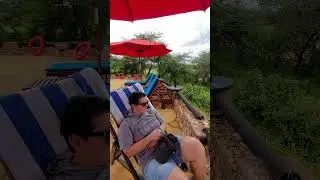 ОТЕЛЬ В КЕНИИ/РЕЛАКС/САВАННА