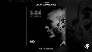 Lil Skies - Red Roses ft. London Cube (Official Audio)