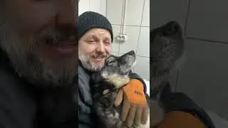 Рекс ☺️