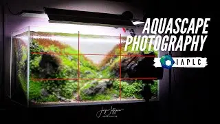 Watch this before taking your 