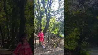 #fruskagora