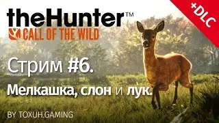theHunter: Call of the Wild. Стрим №6. Ищем бриллианты.
