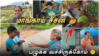 மகிழினி க்கு இப்போ தான் சந்தோசம் 🫣|👉 தோட்டத்து மாங்காய் பழுக்க வச்சிருக்கோம் 🥭❤️ | Full Day Vlog