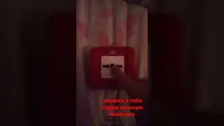 23 июня 2022 г.
