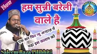 ये नात सुनकर आँखों में आंसू आ जाएगा  | हम  सुनी बरेली वाले है |  Naat Salim Raza | islamicnaat2024